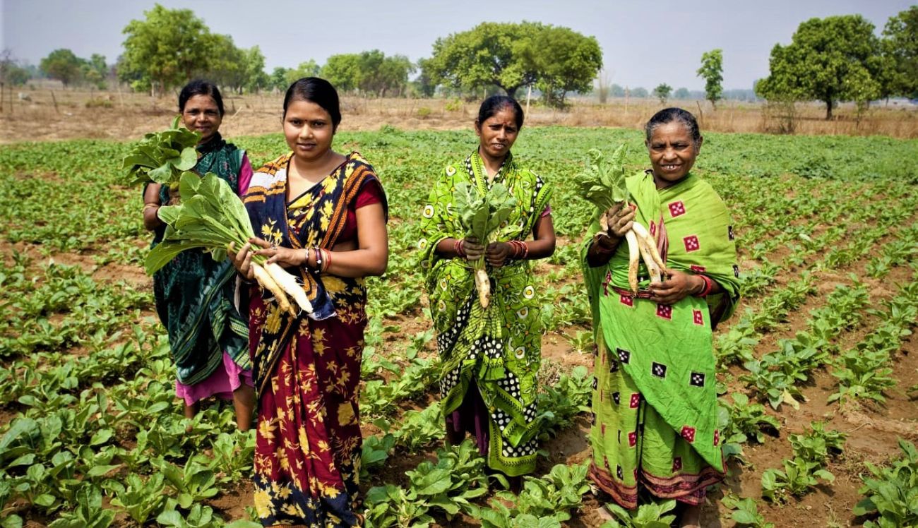 Vedanta Aluminium’s ‘Jeevika Samriddhi’ project nurtures growth and prosperity for Jharsuguda Farmers