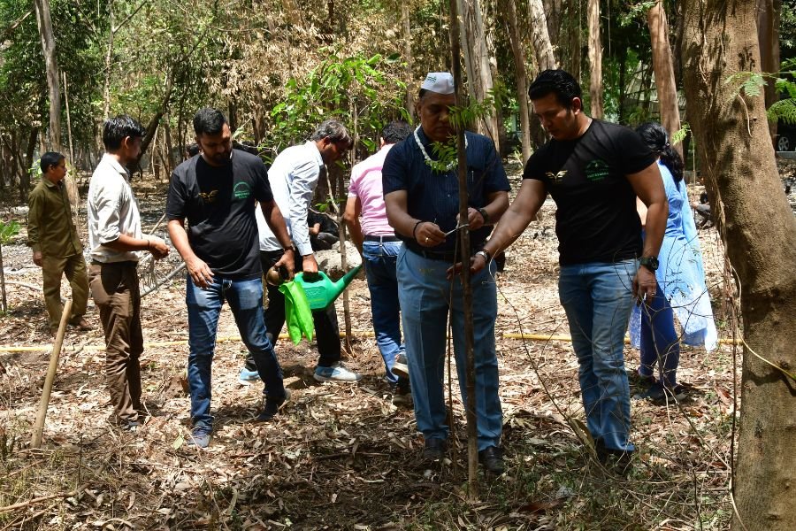 ग्रीनमैन विरल देसाई ने सरथाना नेचर पार्क में 700 पेड़ लगाकर मनाया पर्यावरण दिवस