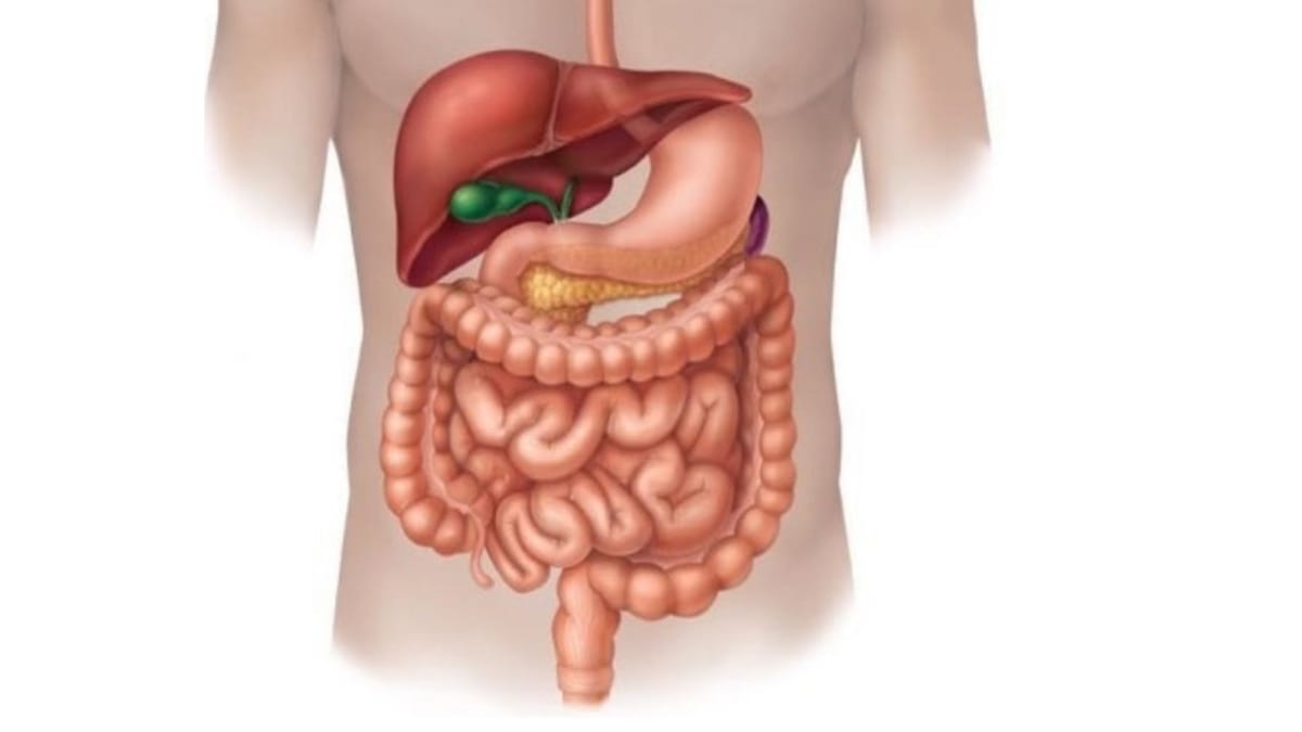 पेट रोगियों के लिए वडोदरा में नि:शुल्क मेगा आयुर्वेदिक चिकित्सा शिविर, 15 जून को होगा आयोजन